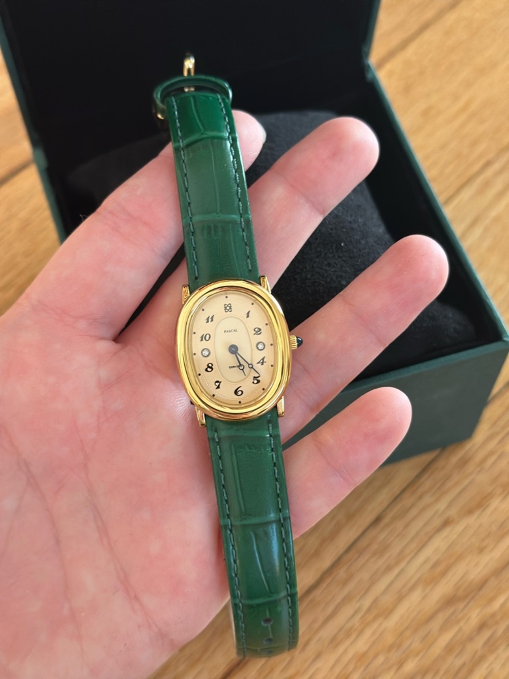 Pascal watch, brand new